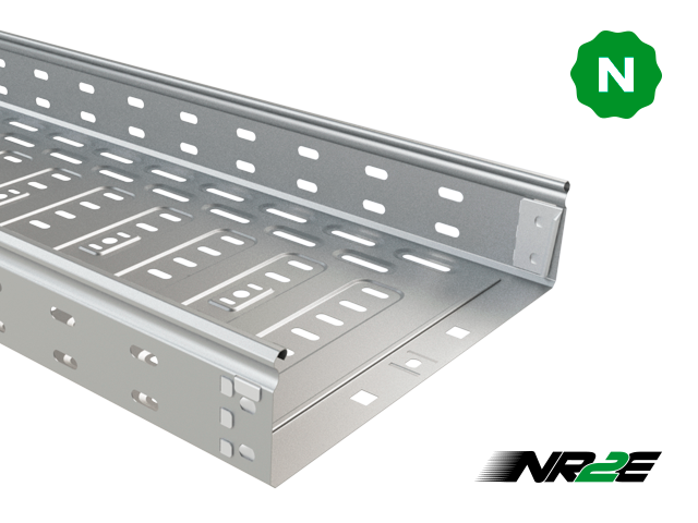 BasorTray/NR2E