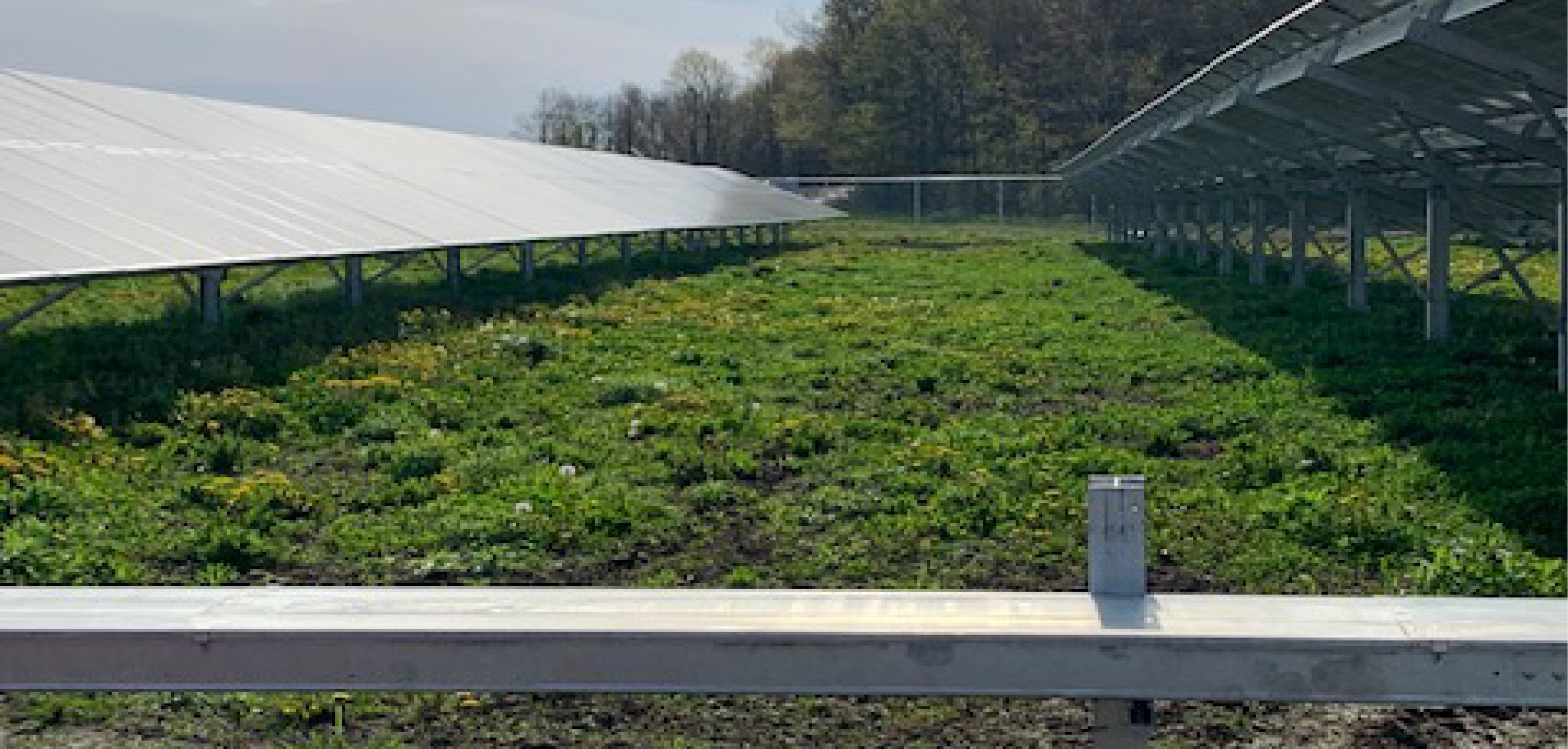 Imagen Proyecto Cable ladder in solar farm 793